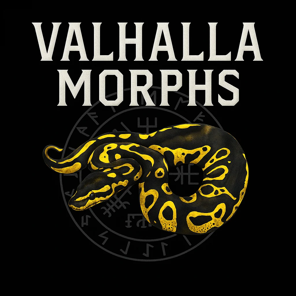 VALHALLA MORPHS